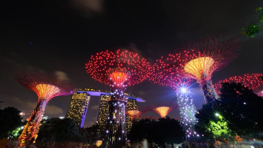 Blick auf bunt erleuchtete Bäume in den Gardens by the Bay bei Nacht, Singapur, Südostasien