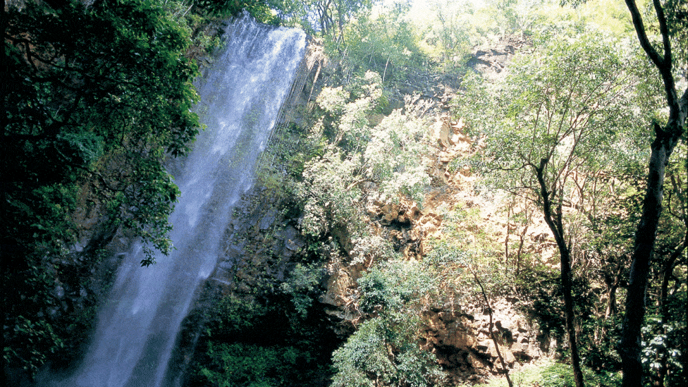 Blick auf einen Wasserfall und grüne Vegetation auf der Garteninsel Kauai, Hawaii, USA
