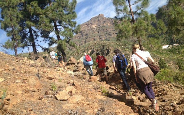 Wandergruppe auf Gran Canaria zwischen Kiefern und schroffen Felsen.