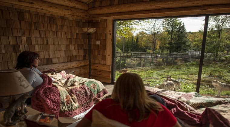 kanada-parc-omega-TQG. leroyer