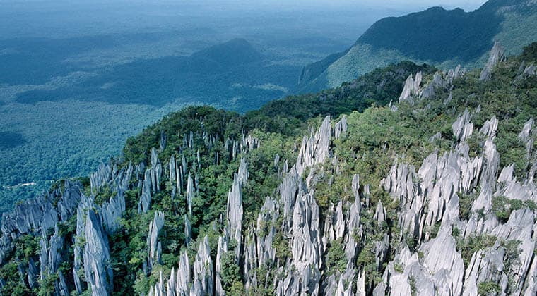 Karstlandschaft im Gunung Mulu Nationalpark