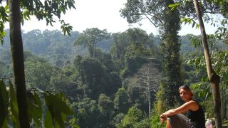 Kbal Spean: Zudem bieten einige Aussichtspunkte einen atemberaubenden Blick über den Urwald