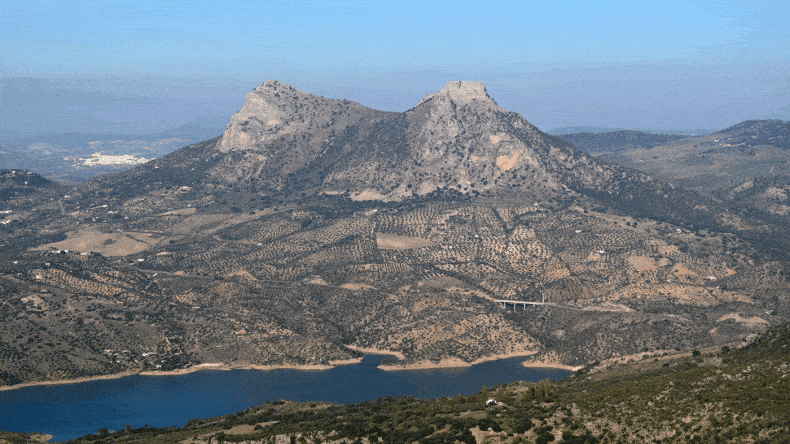 Die einzigartige Landschaft Andalusiens: Olivenbäume wohin das Auge reiche und weiße Dörfer