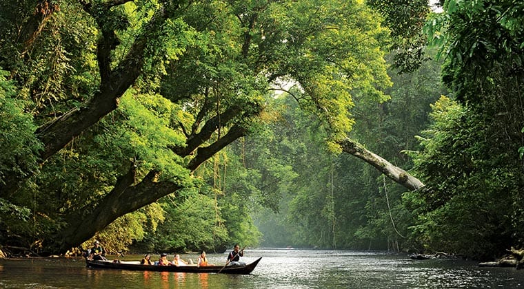 Lata Berkoh im Taman Negara Nationalpark