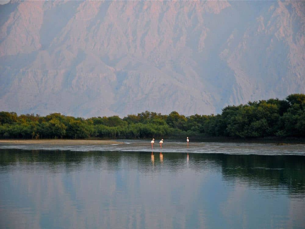In Ras Al Khaimah findest du Wüste, Strand und Berge