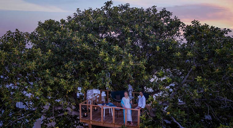 Außergewöhnliche Location: Das Restaurant Blu im Four Seasons Resort Maldives at Landaa Giraavaru im Baa Atoll auf den Malediven, befindet sich zwischen den Baumwipfeln