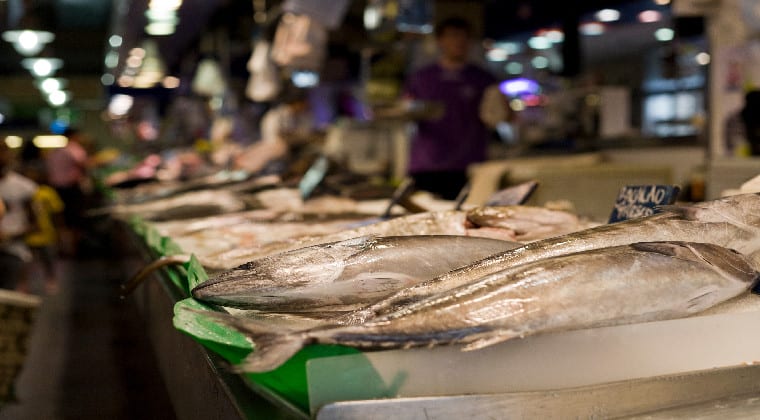Die Markthalle in Palma de Mallorca frischer Fisch