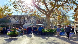 Markt Alcudia