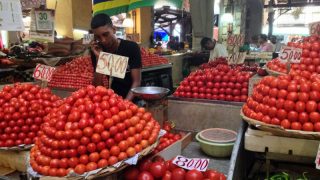 Love Apples Tomaten Mauritius
