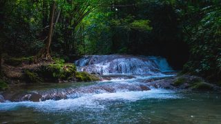 Mayfield Falls gehört mit zu den schönsten Wasserfällen in Jamaika