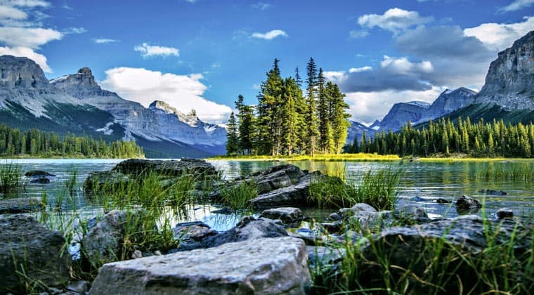 nationalparks kanada jasper Bäume am Fluss