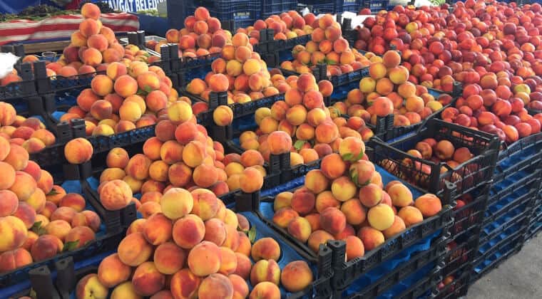 Pfirsiche auf dem Markt von Manavgat
