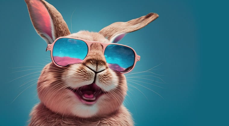 Hase mit cooler Sonnenbrille