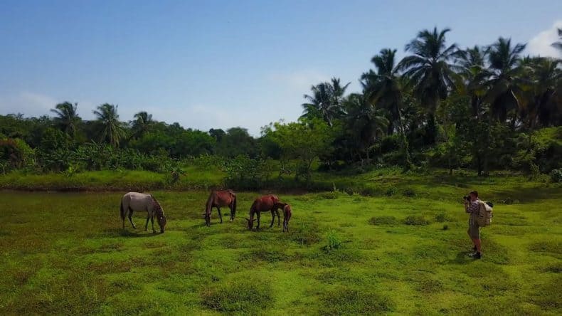 Die vielfältige Landschaft der Dominikanischen Republik