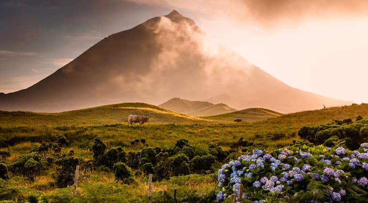 Pico Azoren Inseln