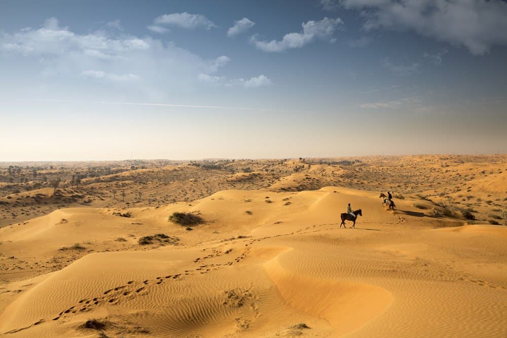 In Ras Al Khaimah könnt ihr zwischen zahlreichen Wüstenerlebnissen wählen