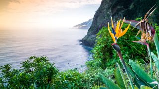 Reiseziele 2017: Madeira