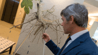 Ein Olivenblatt konnte am Kunstwerk "reLive" des Künstlers Marco Victor Romano befestigt werden