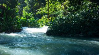 Roaring River in Jamaika