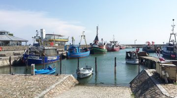 Der Hafen in Sassnitz: Hier gibt es leckere Fischbrötchen