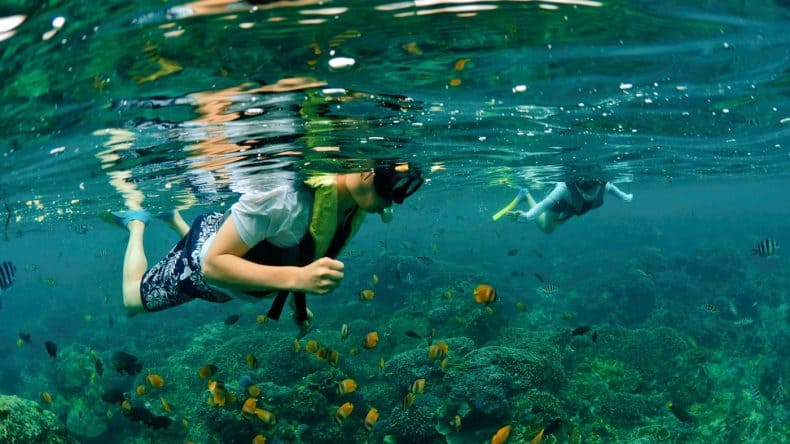 Schnorcheln und Tauchen in der DomRep