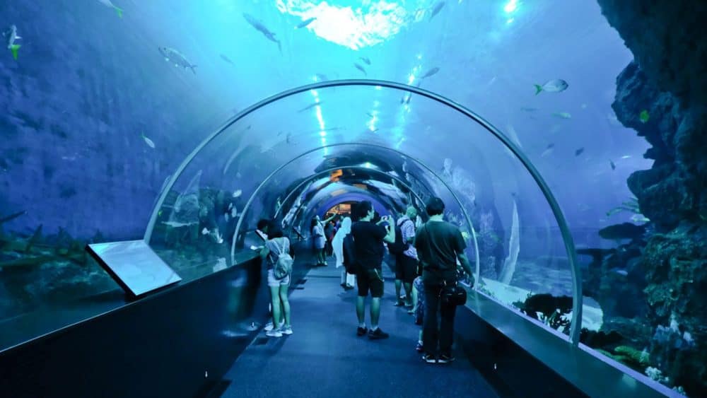 Blick auf einen Unterwassertunnel im Im S.E.A Aquarium, Singapur, Sentosa Island, Südostasien