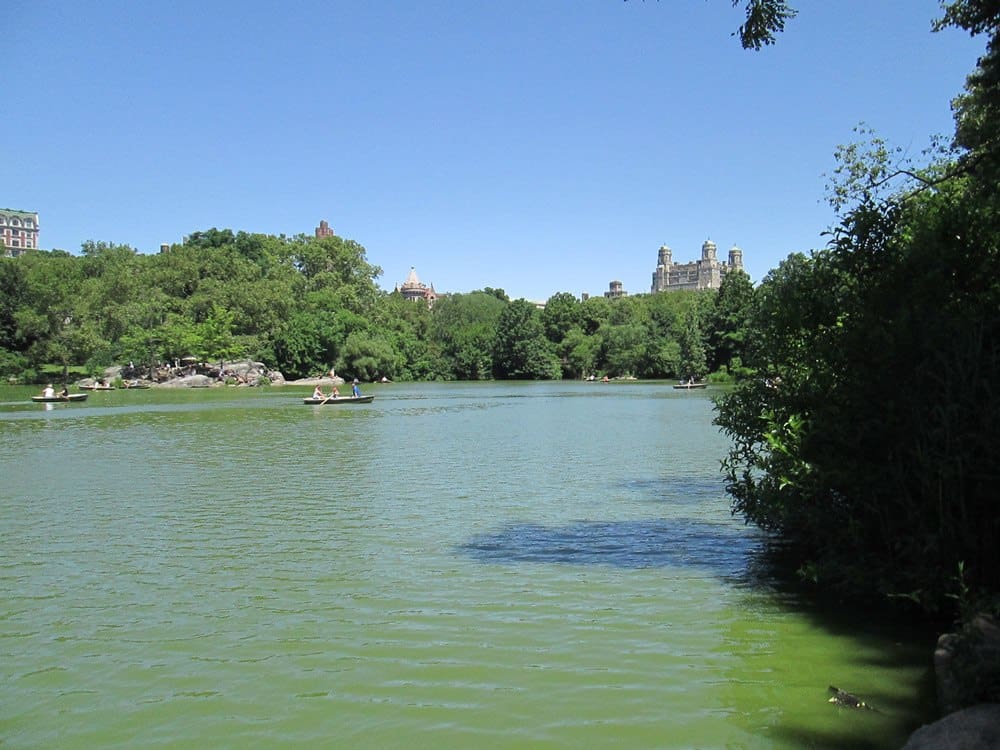 Bootfahren im Central Park