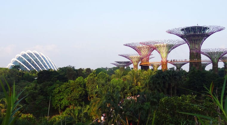 Gardens by the bay