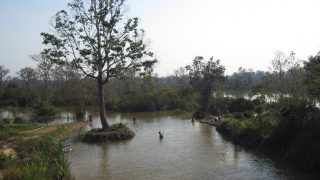 Am dritten Tag fahren wir zu den weiter entfernten Tempeln Angkors