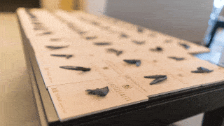 Die auf den Holztafeln befestigten Olivenblätter durften als Souvenir mit nach Hause genommen werden