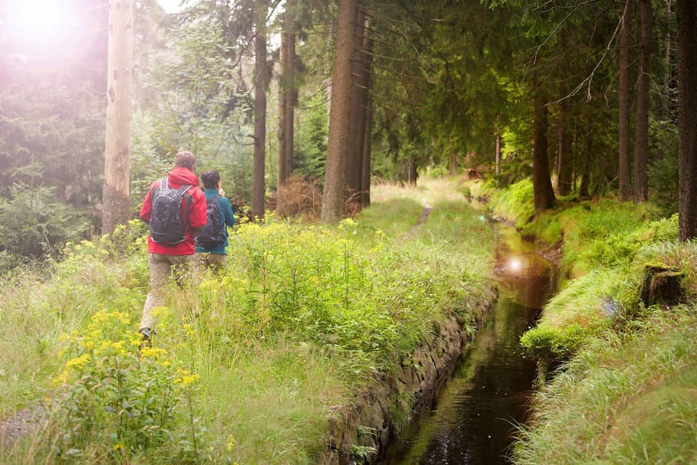 Durch das grüne Deutschland wandern