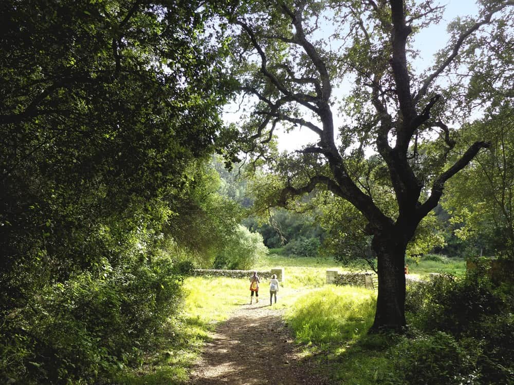 Die kleine Schwester von Mallorca steht der Großen in Sachen Wandern um Nichts nach!