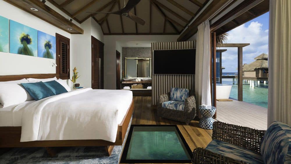 Mit Glasboden, damit ihr die Meerestiere im Ozean beobachten könnt