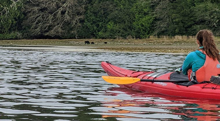 Ein Kayak auf einem Fluss mit Touristen, die Bären am Ufer beobachten, Ucluelet, Kanada