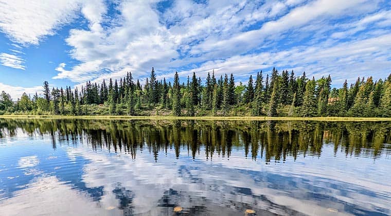 Blick auf den See Maxwell Lake mit Wasser und grünen Wäldern in Hinton, Alberta, Kanada