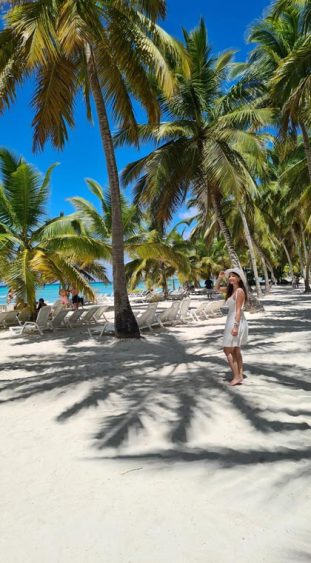 Die Insel Saona in der Dominikanischen Republik ist bekannt für ihre palmengesäumten Strände.