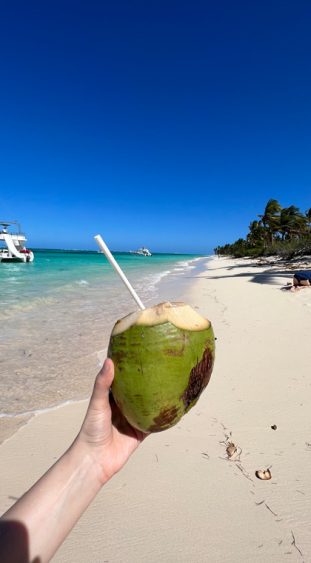 Unglaublich erfrischend - der Saft der Kokosnuss direkt mit dem Strohhalm direkt aus der Frucht genießen.