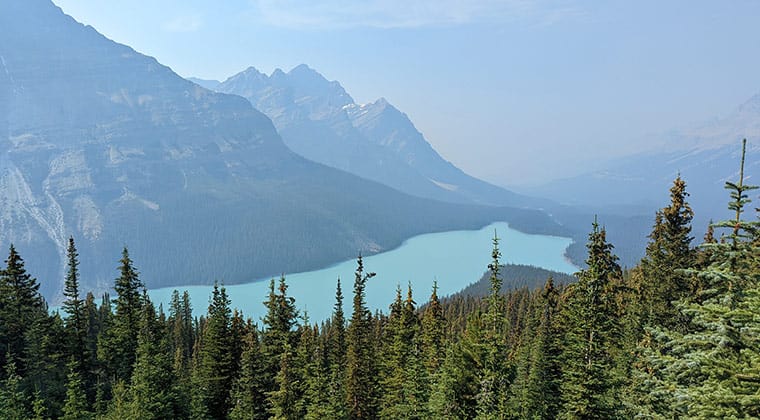 Blick auf den Aussichtspunkt Upper View Point Peyto Lake, See, grüne Wälder, Kanada