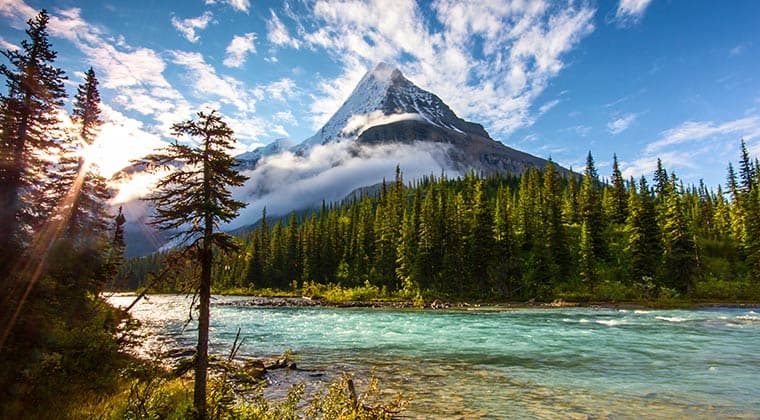 Blick auf einen türkisfarbenen Fluss, grüne Wälder und den Berg Mount Robson in British Columbia, Kanada