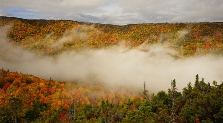 Nebelschwaden über den Wäldern der Cape Breton Highlands in der Region Nova