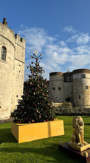 England, London, Tower of London, Weihnachtsbaum