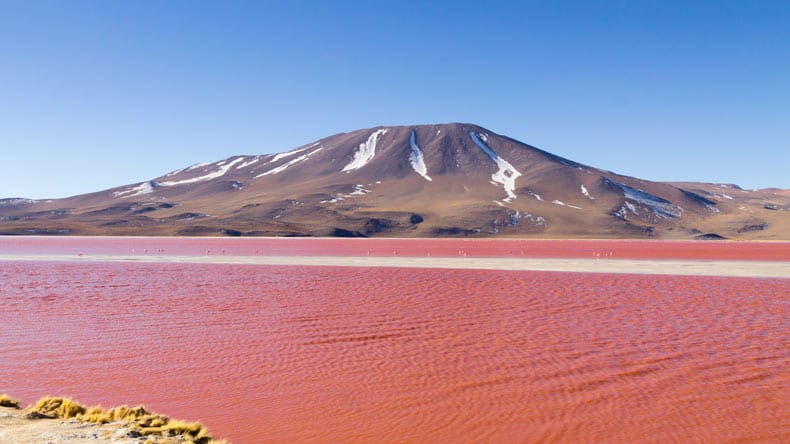 Blick auf den rosa See "Laguna Colorada" in Boliviens Nationalpark.