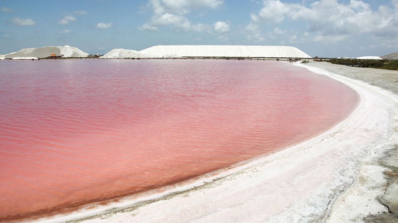 Der rosa See "Salins du Midi" und dessen weiße Salzberge in Frankreich.
