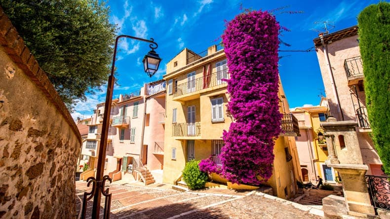Blick auf wunderschön bewachsene Häuser in der Stadt Cannes, französische Riviera