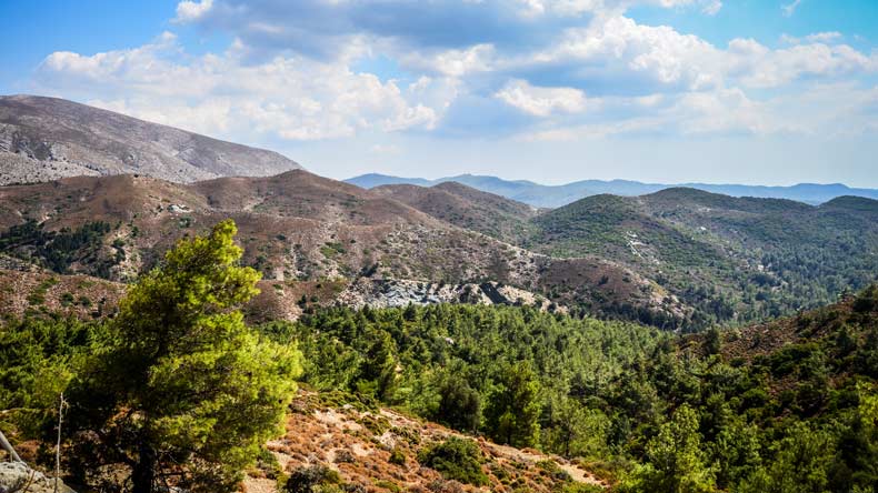 Blick auf die Landschaft von Rhodos mit kleinen Bergen und grünen Wäldern.