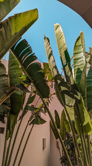 Ägypten, Marsa Alam, Steigenberger Alaya