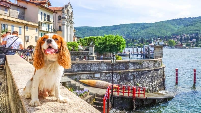 Italien, Ferienhäuser mit Hund
