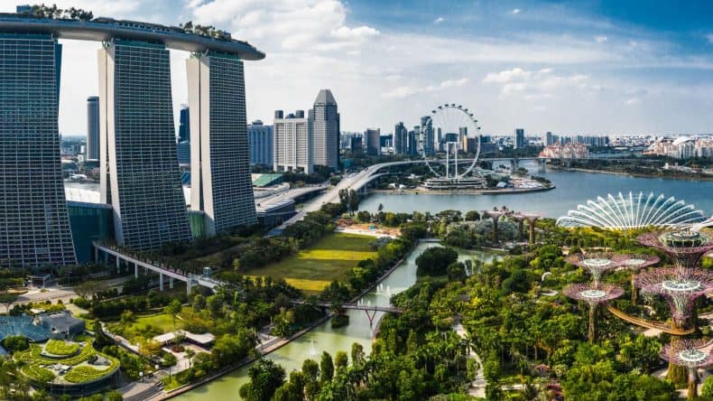 Blick auf die Skyline von Singapur mit Wolkenkratzern, einem Riesenrad, Wasser und grünen Bäumen, Singapur