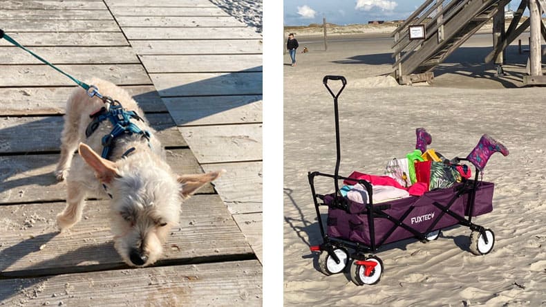 Strand von SPO mit Hund und Bollerwagen, Deutschland