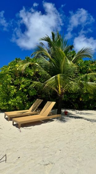 Relaxen auf Sonnenliegen am Strand unter Palmen.